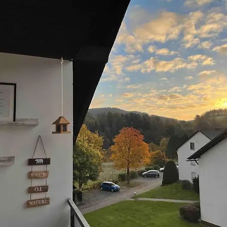 Sauerland Daire Willingen (Upland)