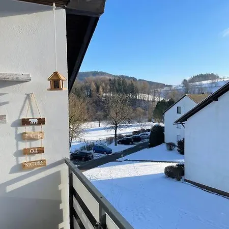 Sauerland Willingen Apartment Willingen (Upland)