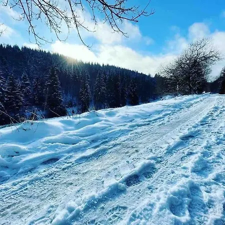 Appartement Sauerland *
