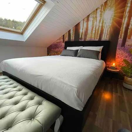 Sauerland Willingen Apartment