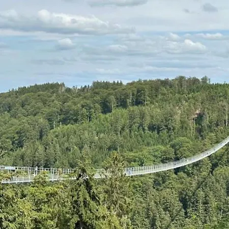 Sauerland Daire Willingen (Upland)